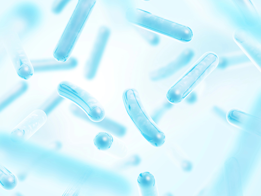 Lactobacillus